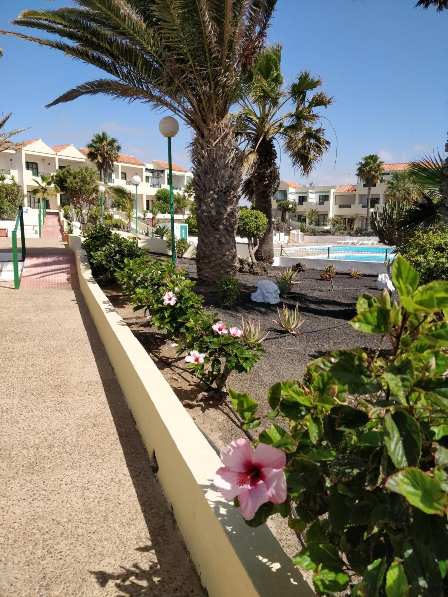 Casa Anita Daire Costa De Antigua Dış mekan fotoğraf